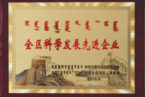 全区科学发展先进企业